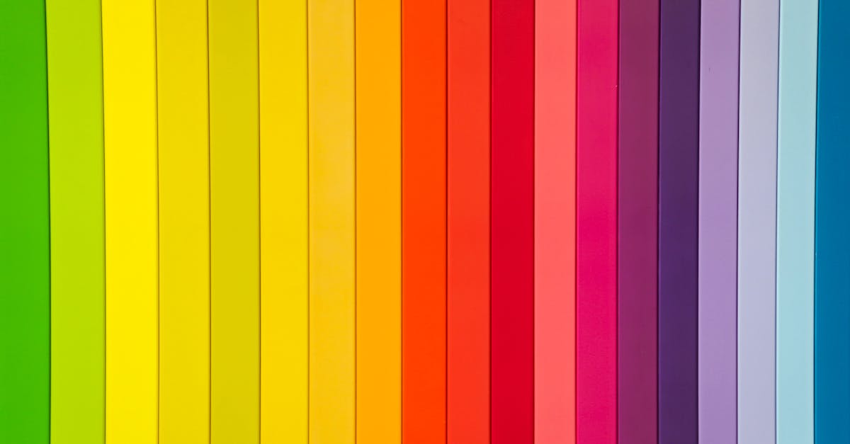 What are 3 things graphic designers do?
